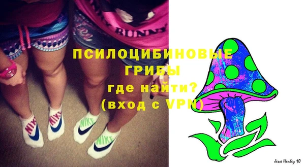 МДПВ Инта